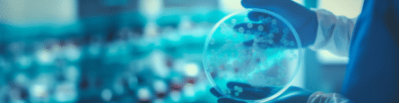 Creating an Efficient and Transparent Laboratory and Data Management ...